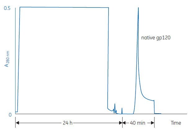 Separation of native gp120 protein