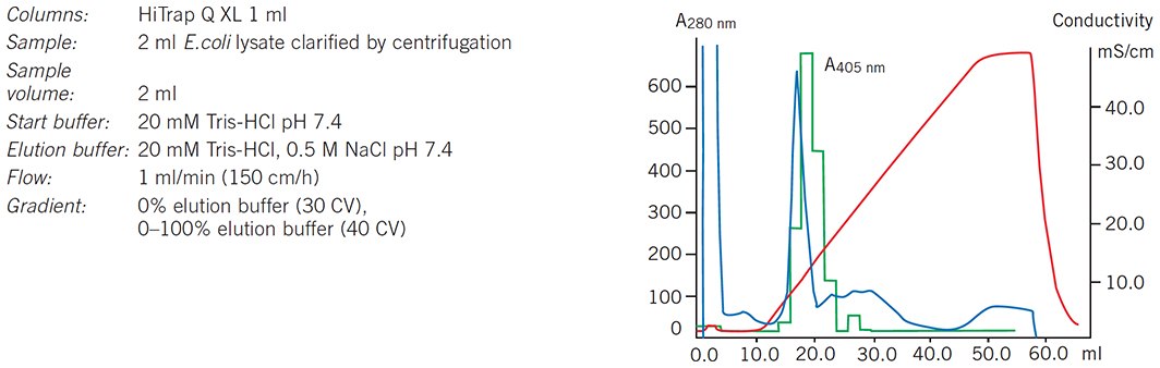 Clarified E. coli lysate on HiTrap Q XL