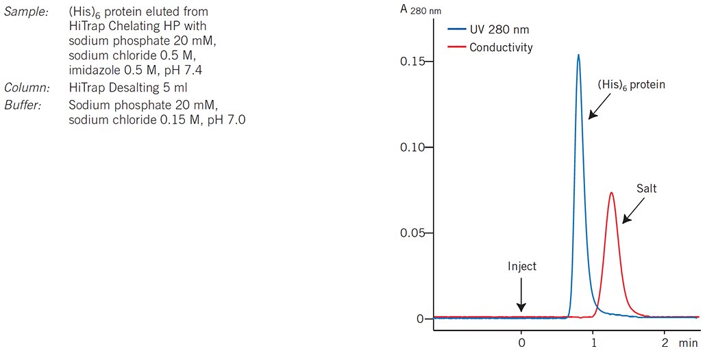 Desalting of a (His)6 fusion protein on ÄKTAprime™