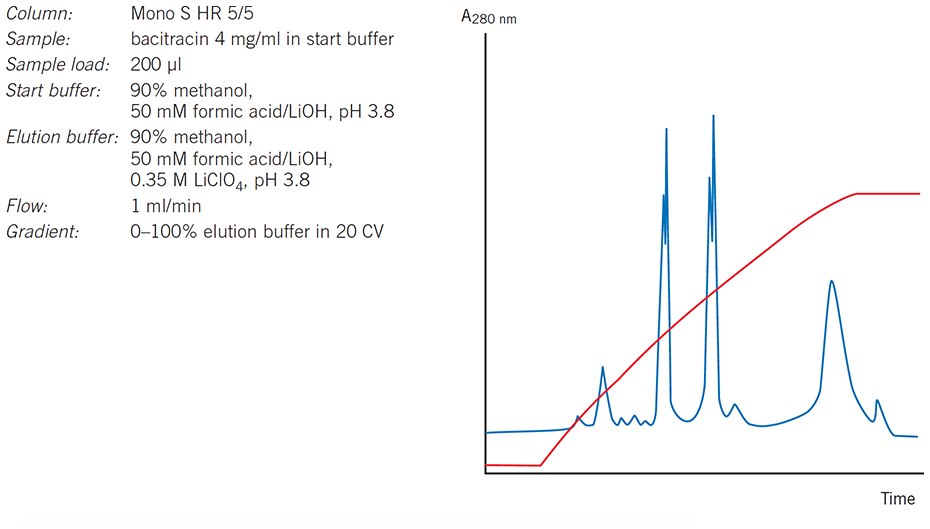 Separation of the peptide bacitracin on Mono S HR 5/5 (now available as Mono S 5/50 GL)