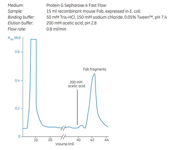 Puriﬁcation of recombinant mouse Fab fragments