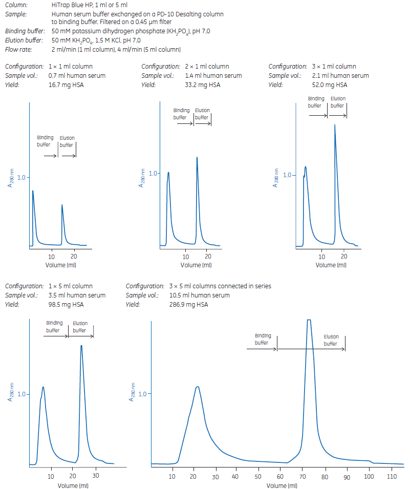 Scaling up on HiTrap® Blue HP gives predictable separations and quantitatively reproducible yields.