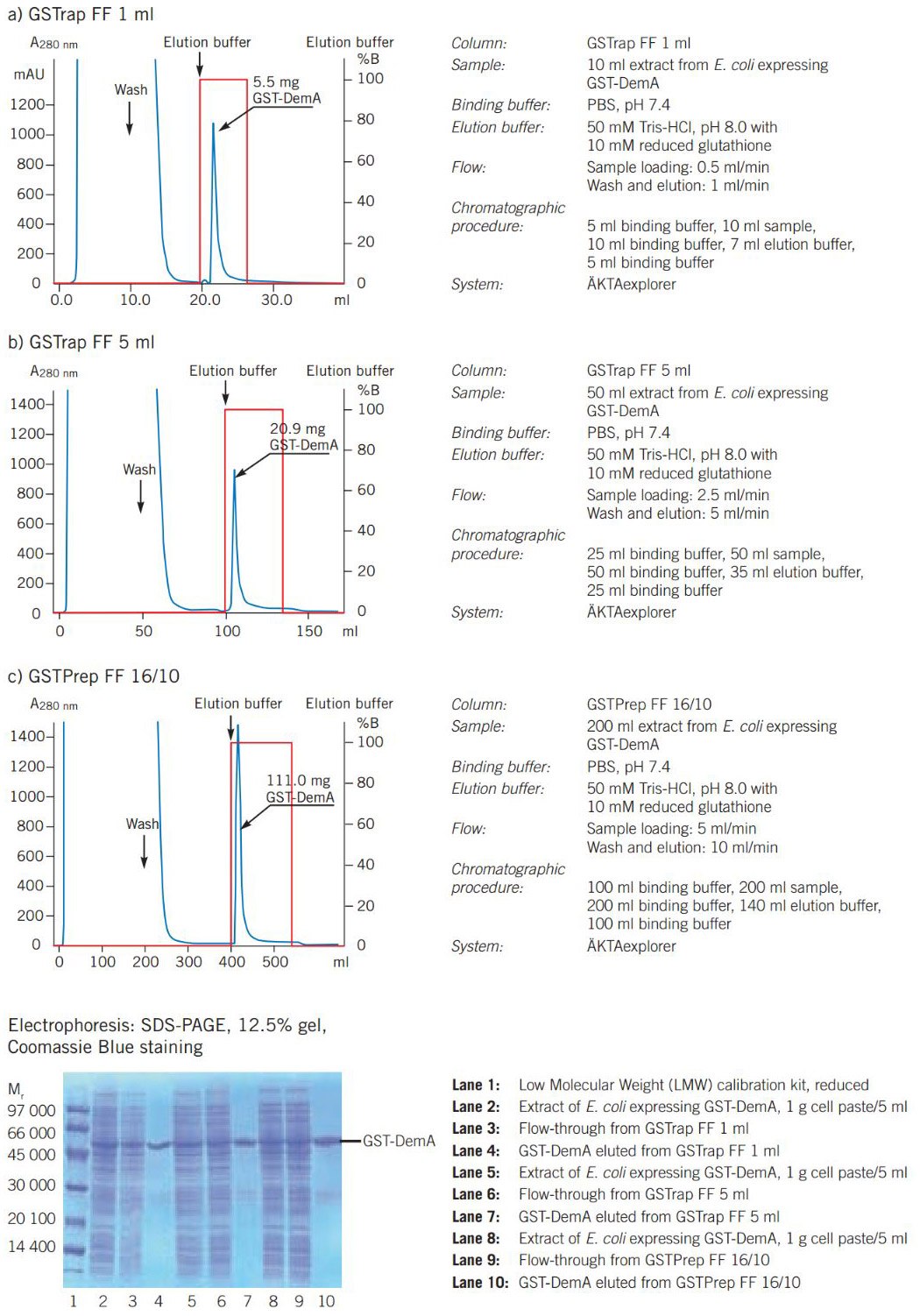 Scaling up purifcation of a GST fusion protein.