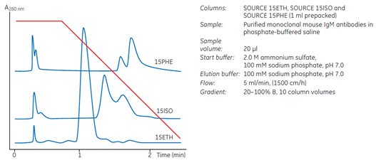 Screening of HIC media for an antibody purification.