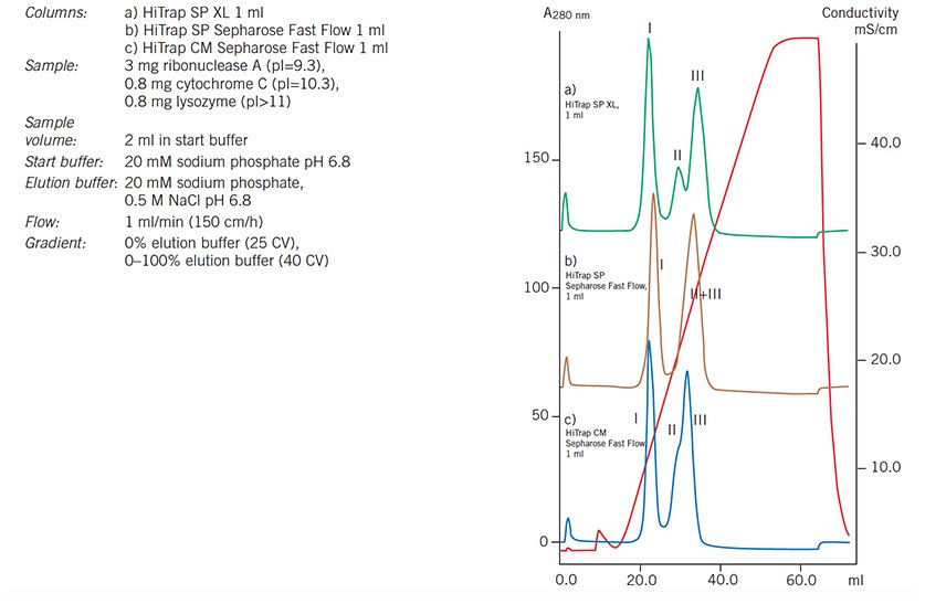 Media scouting: separation of ribonuclease A