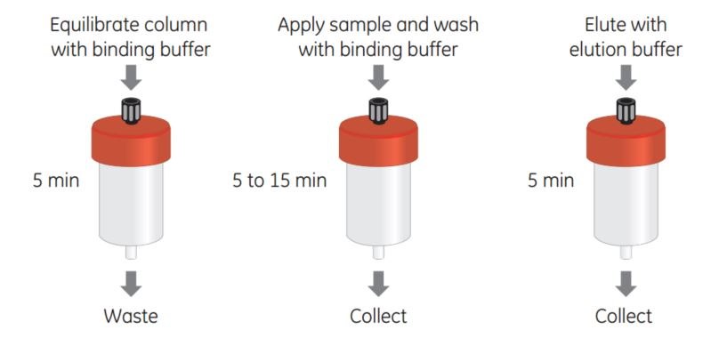 Simple purification of GST-tagged proteins