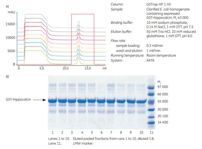 Confirmation of the stability of Glutathione Sepharose