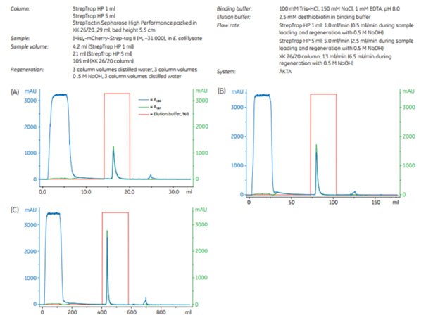 Scaling up the puriﬁcation