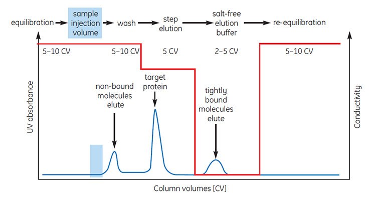 Typical HIC separation using step elution.