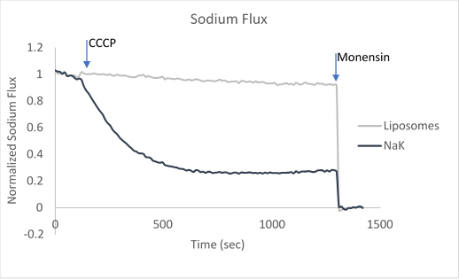 Sample data utilizing fluorescence-based flux assays to investigate either potassium or sodium flux in artificial liposomes.