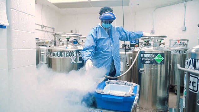 Storing Your Banks with Ease and Confidence