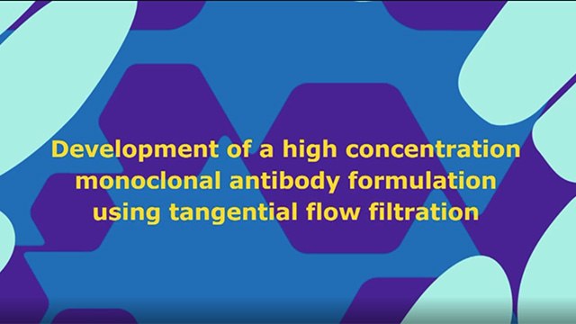 Development of a High-Concentration Monoclonal Antibody for Formulation Using Tangential Flow Filtration