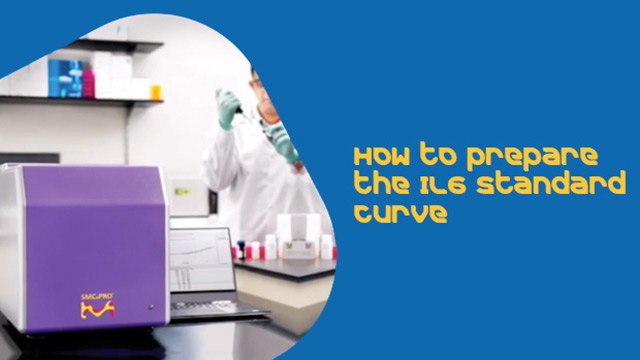 How to Prepare the IL-6 Standard Curve