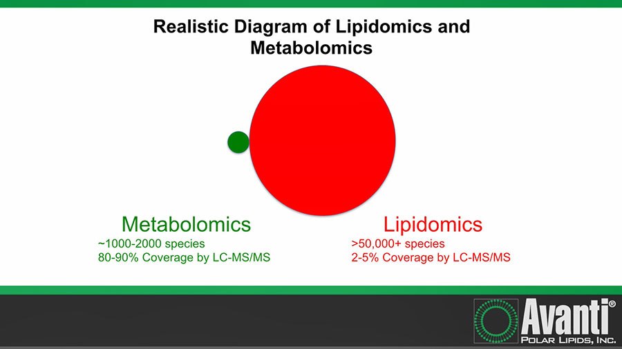 Mass Spectrometric Approaches to Lipidomic Studies