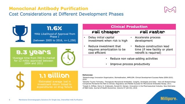 Image shows slide 5 of the webinar slide deck, displaying the cost considerations for the development phases of mab purification.