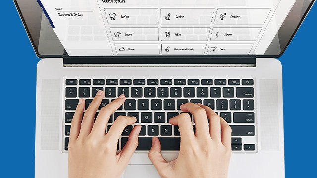 Open laptop with a pair of hands over the keyboard on a blue background
