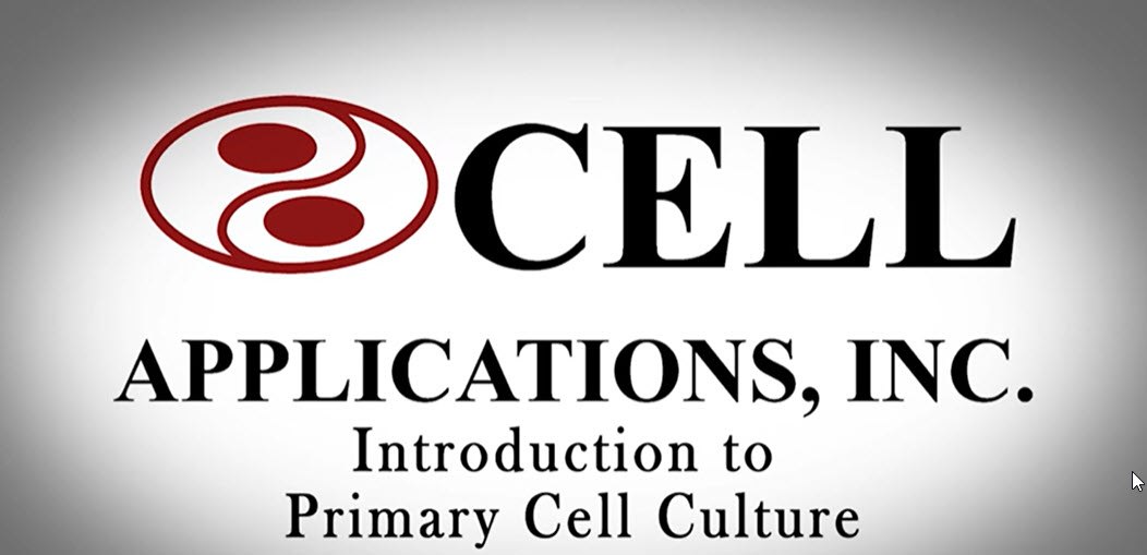 Primary Cell Culture Guidance