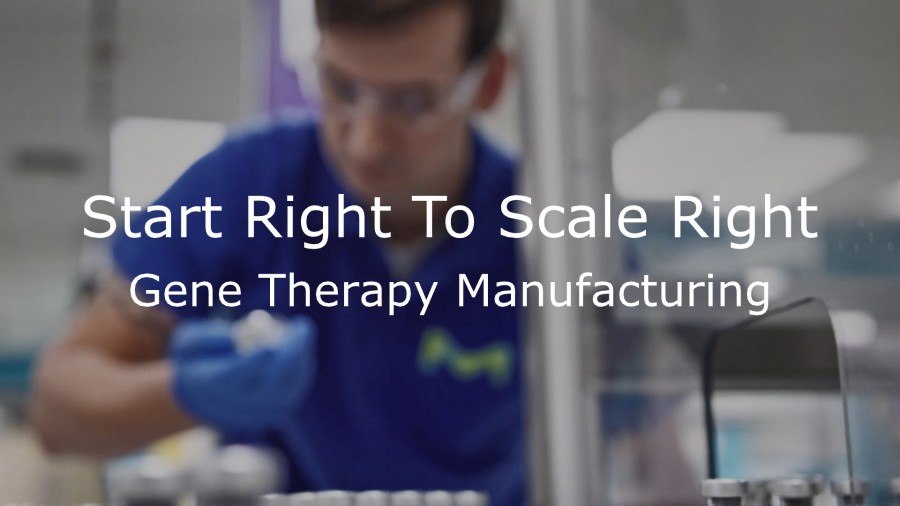 Successfully scale your gene therapy production by implementing a platform process from the start