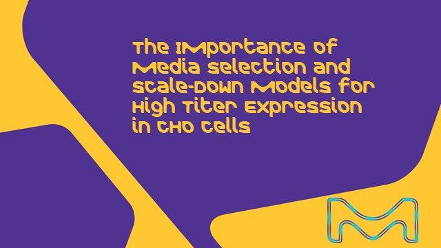 The Importance of Media Selection and Scale-down Models for High-titer Expression in CHO Cells