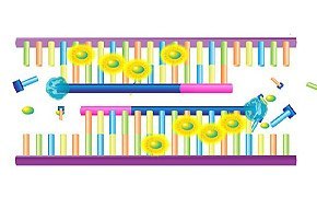 Universal SYBR Green qPCR graphic.