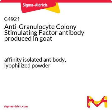 Anti-Granulocyte Colony Stimulating Factor antibody produced in goat affinity isolated antibody, lyophilized powder