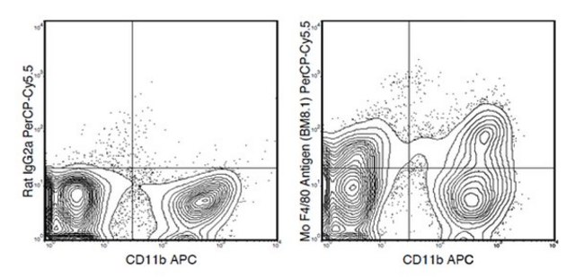 Anti-F4/80 (mouse), PerCP-Cy5.5, clone BM8.1 Antibody clone BM8.1, from rat, PerCP-Cy5.5