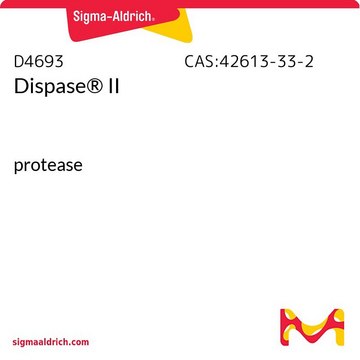 Dispase&#174; II protease