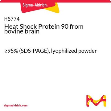 Heat Shock Protein 90 from bovine brain &#8805;95% (SDS-PAGE), lyophilized powder