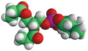 03:0 PC 1,2-dipropionyl-sn-glycero-3-phosphocholine, chloroform