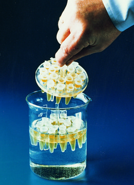 Floating circular 1.5 mL microcentrifuge tube rack Holds 8 x 1.5 mL tubes