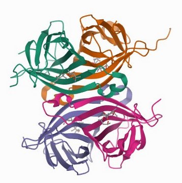 Streptavidin&#8722;Agarose from Streptomyces avidinii buffered aqueous suspension