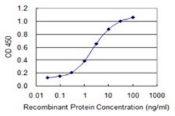 Monoclonal Anti-CLGN antibody produced in mouse clone 3B5, purified immunoglobulin, buffered aqueous solution