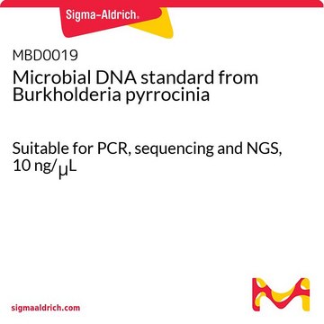 Microbial DNA standard from Burkholderia pyrrocinia Suitable for PCR, sequencing and NGS, 10&#160;ng/&#956;L