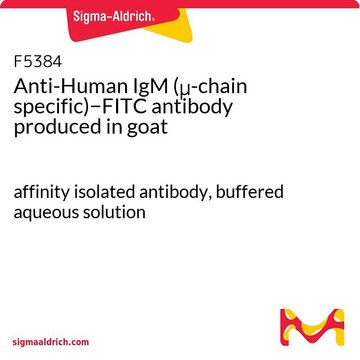 抗-人IgM（&#956;-链特异性）&#8722;FITC 山羊抗 affinity isolated antibody, buffered aqueous solution