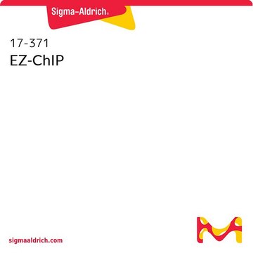 EZ-ChIP