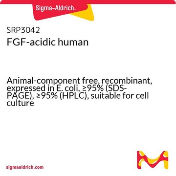 FGF-acidic human Animal-component free, recombinant, expressed in E. coli, &#8805;95% (SDS-PAGE), &#8805;95% (HPLC), suitable for cell culture