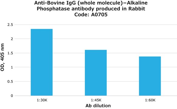 Anti-Bovine IgG (whole molecule)&#8722;Alkaline Phosphatase antibody produced in rabbit affinity isolated antibody