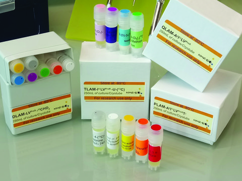 SLAM-VproR-13C4 Methyl Labeling Kit