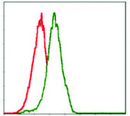 Monoclonal Anti-PIK3CA antibody produced in mouse clone 4F3, purified immunoglobulin, buffered aqueous solution