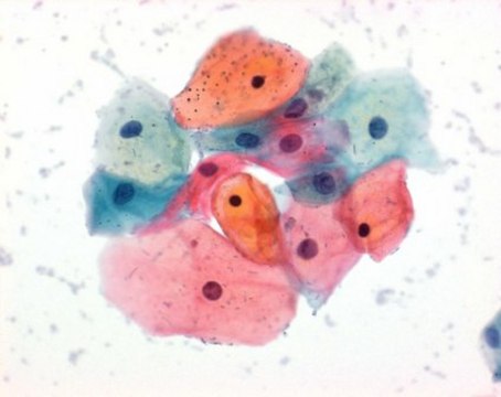 Orange G (C.I. 16230) for microscopy Certistain&#174;