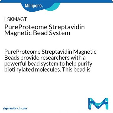 PureProteome Streptavidin Magnetic Bead System PureProteome Streptavidin Magnetic Beads provide researchers with a powerful bead system to help purify biotinylated molecules. This bead is suitable for immunoprecipitations, purifying nucleic acids, isolating cells and organelles.