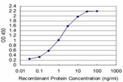 ANTI-T antibody produced in mouse clone 5C6, purified immunoglobulin, buffered aqueous solution