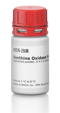 Xanthine Oxidase from bovine milk lyophilized powder, 0.4-1.0&#160;units/mg protein