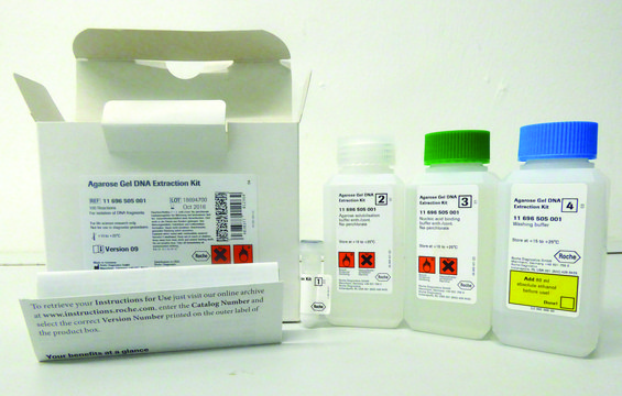 Agarose Gel DNA Extraction Kit kit of for up to 100 reactions