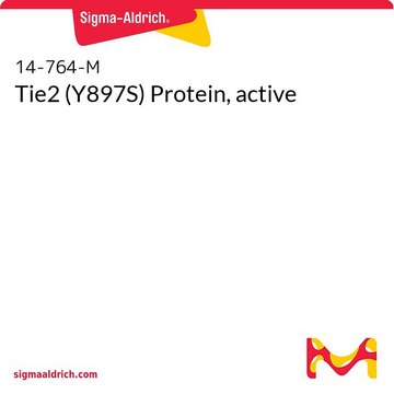 Tie2 (Y897S) Protein, active