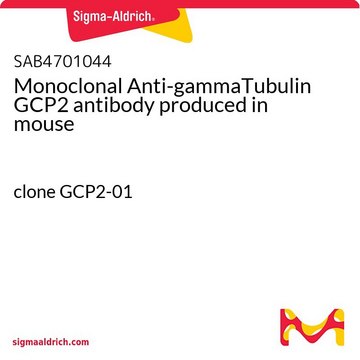 Monoclonal Anti-gammaTubulin GCP2 antibody produced in mouse clone GCP2-01