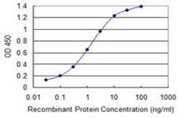 Monoclonal Anti-TKTL2 antibody produced in mouse clone 5E2, purified immunoglobulin, buffered aqueous solution