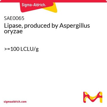 脂肪酶，来自于米曲霉（Aspergillus oryzae） &gt;=100 LCLU/g