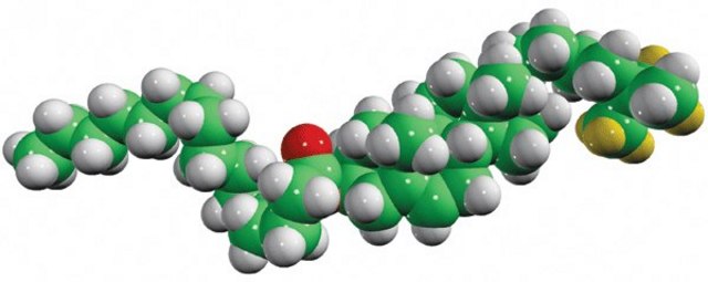 16:0 cholesteryl-d7 ester Avanti Polar Lipids 700149P, powder