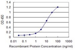 Monoclonal Anti-EDEM1, (C-terminal) antibody produced in mouse clone 2D3, purified immunoglobulin, buffered aqueous solution
